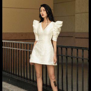 Theodora Puffy Sleeves Mini Dress